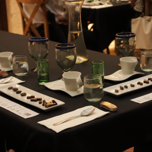 CATA DE CACAO Y CHOCOLATE "LA MAGIA DEL CACAO"