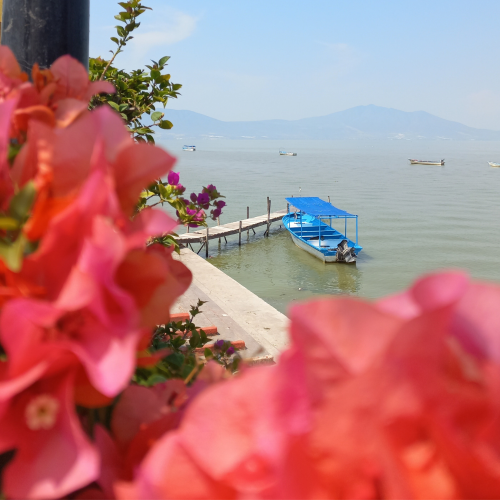 CHAPALA, RINCONCITO DE AMOR