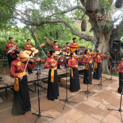 ¡DE COCULA ES EL MARIACHI!