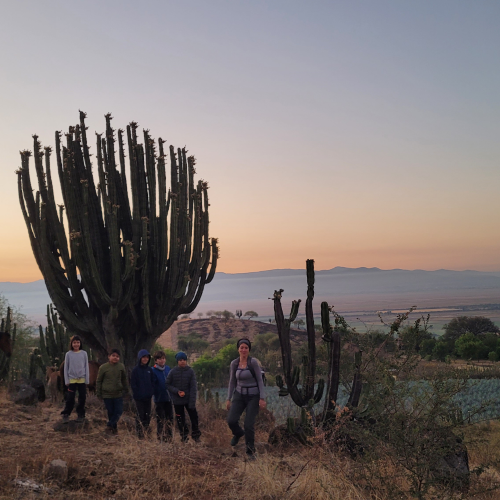 AMACUECA: NUEZ, PITAYA Y CAFÉ