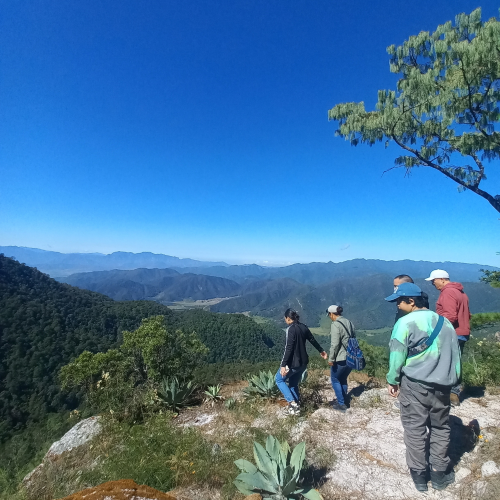 MASCOTA, UNA EXPERIENCIA QUE RECONECTA